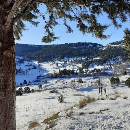 Apartamento Solano - Virgen De La Vega - Alcala Ideal Montana Y Relax Teruel Buitenkant foto