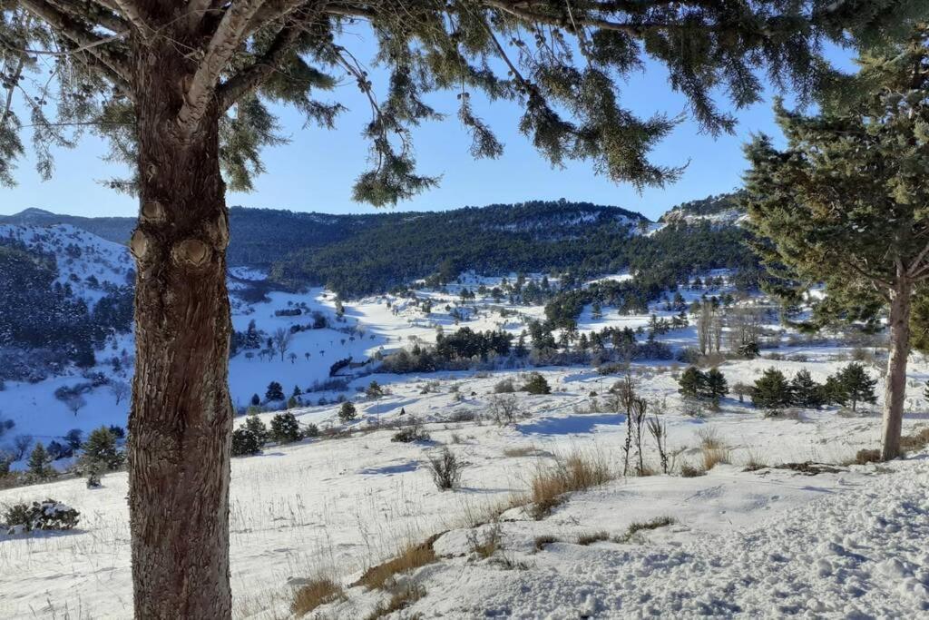 Apartamento Solano - Virgen De La Vega - Alcala Ideal Montana Y Relax Teruel Buitenkant foto